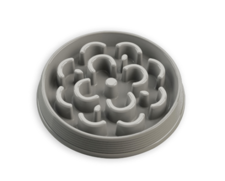 SLOW CHOW GRIS (PLATO ANSIEDAD)