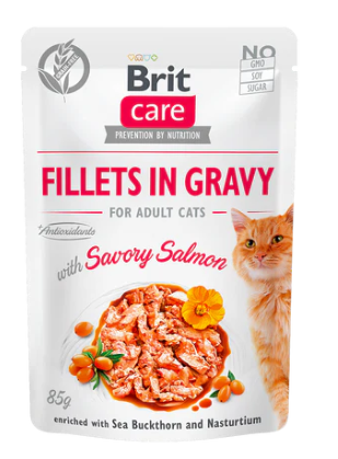 BRIT CARE SACHET BRIT CARE FILLETS SAVORY SALMON