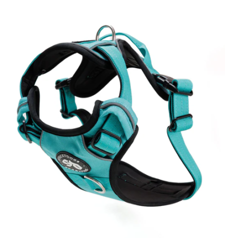 Arnés Comfort para Perros - Street Dogs - Turquoise