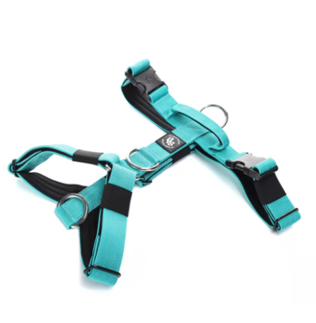 Arnés Strap para Perros - Street Dogs - Turquoise