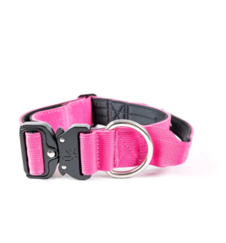 Collar Combat 4 cm para Perros - Street Dogs - Pink