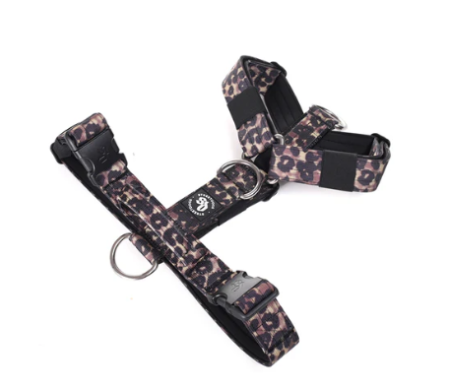 Arnés Strap para Perros - Street Dogs - Animal Print