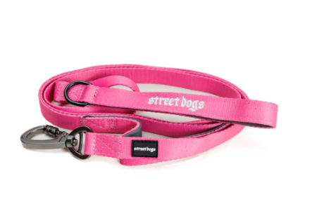 Correa de Adiestramiento para Perros | 1,8 mts | Pink