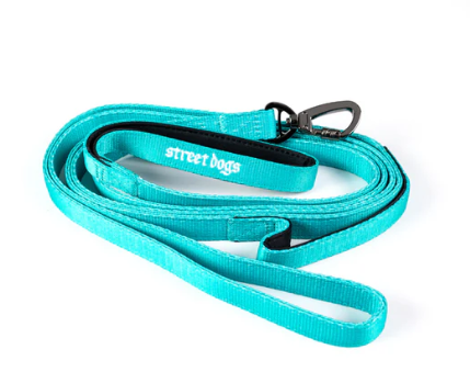 Correa Larga para Perros - Light | 3 mts | Turquoise