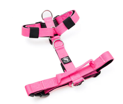 Arnés Strap para Perros - Street Dogs - Pink