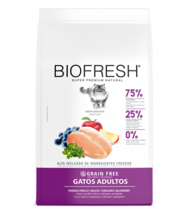 GATOS ADULTOS
