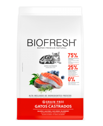GATOS CASTRADOS